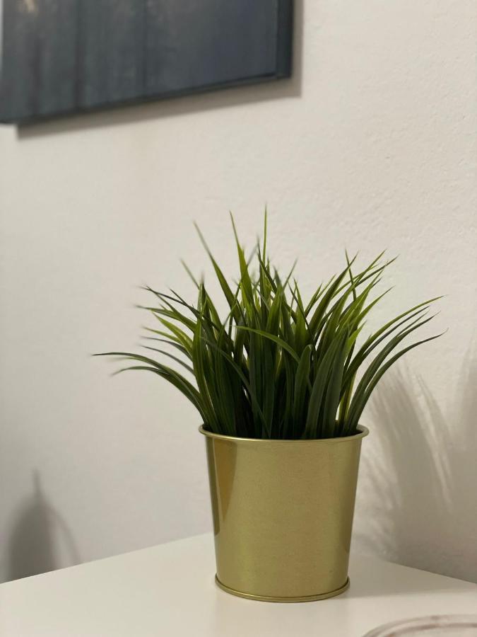 Apartament Apartman Casalope Zagrzeb Zewnętrze zdjęcie